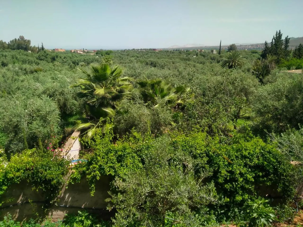 Marrakech Olive Haven Villa Marrakesh