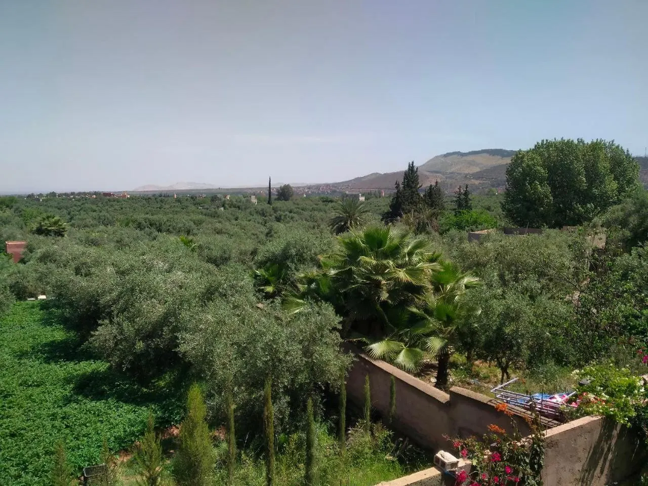 Marrakech Olive Haven Villa Marrakesh Morocco