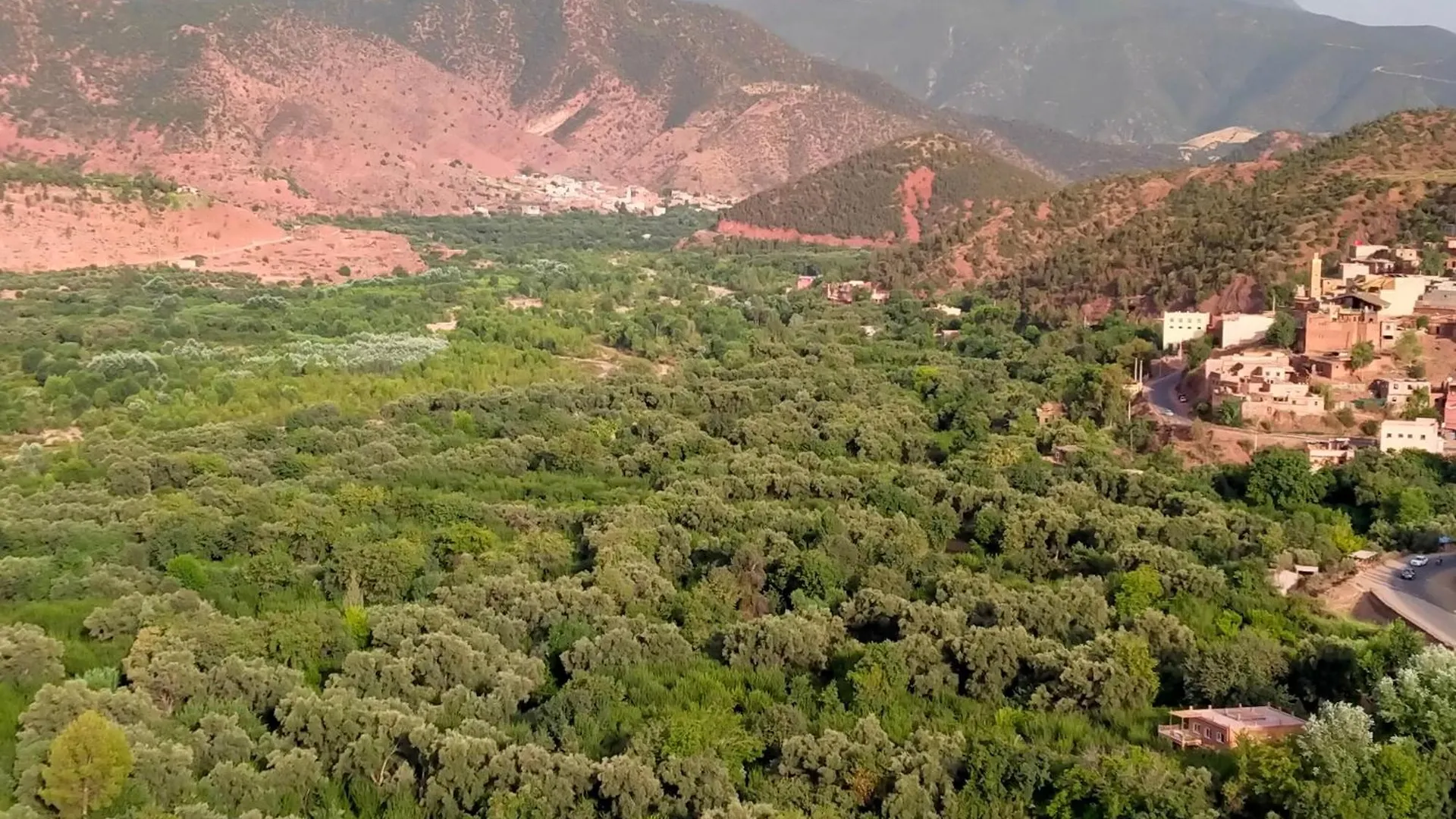 Marrakech Olive Haven Villa Marrakesh 0*,  Morocco